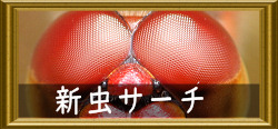 新虫サーチ