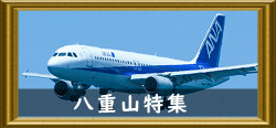 八重山特集